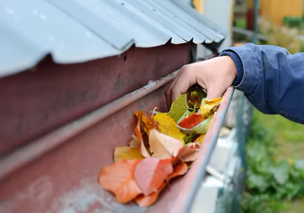 Gutter Cleaning — Gutter Cleaning in NSW